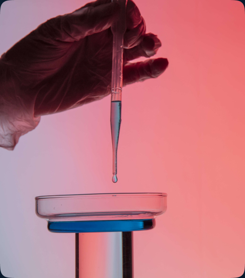  A hand holding a test tube over a plastic petri dish, reflecting innovation and technological development in the development of vaccines and biological medicines by Saudi RNA